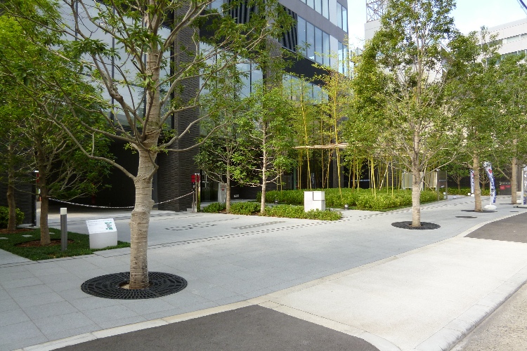 シティタワー天王寺真田山の道路（アクセス）