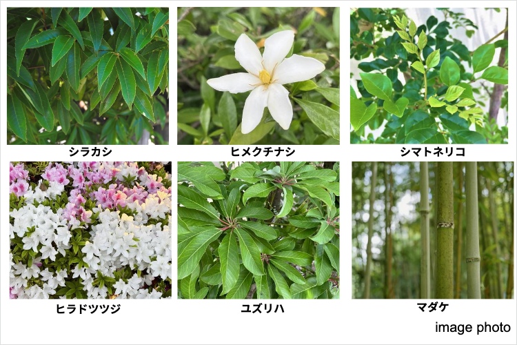 シティタワー天王寺真田山の植栽計画